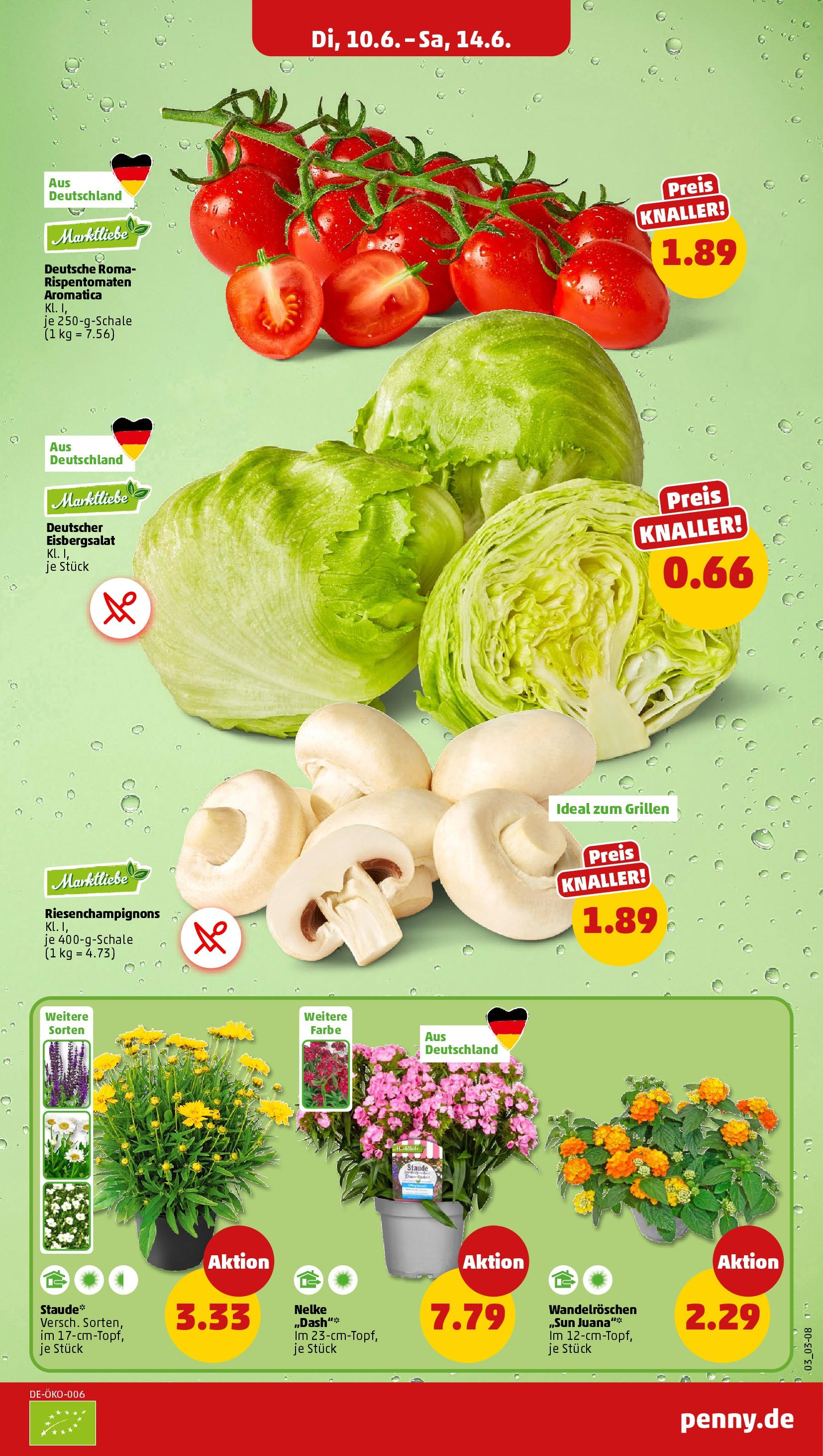 Penny prospekt Bremen (ab 10.06.2025) » Angebote Online | Seite: 5 | Produkte: Eisbergsalat