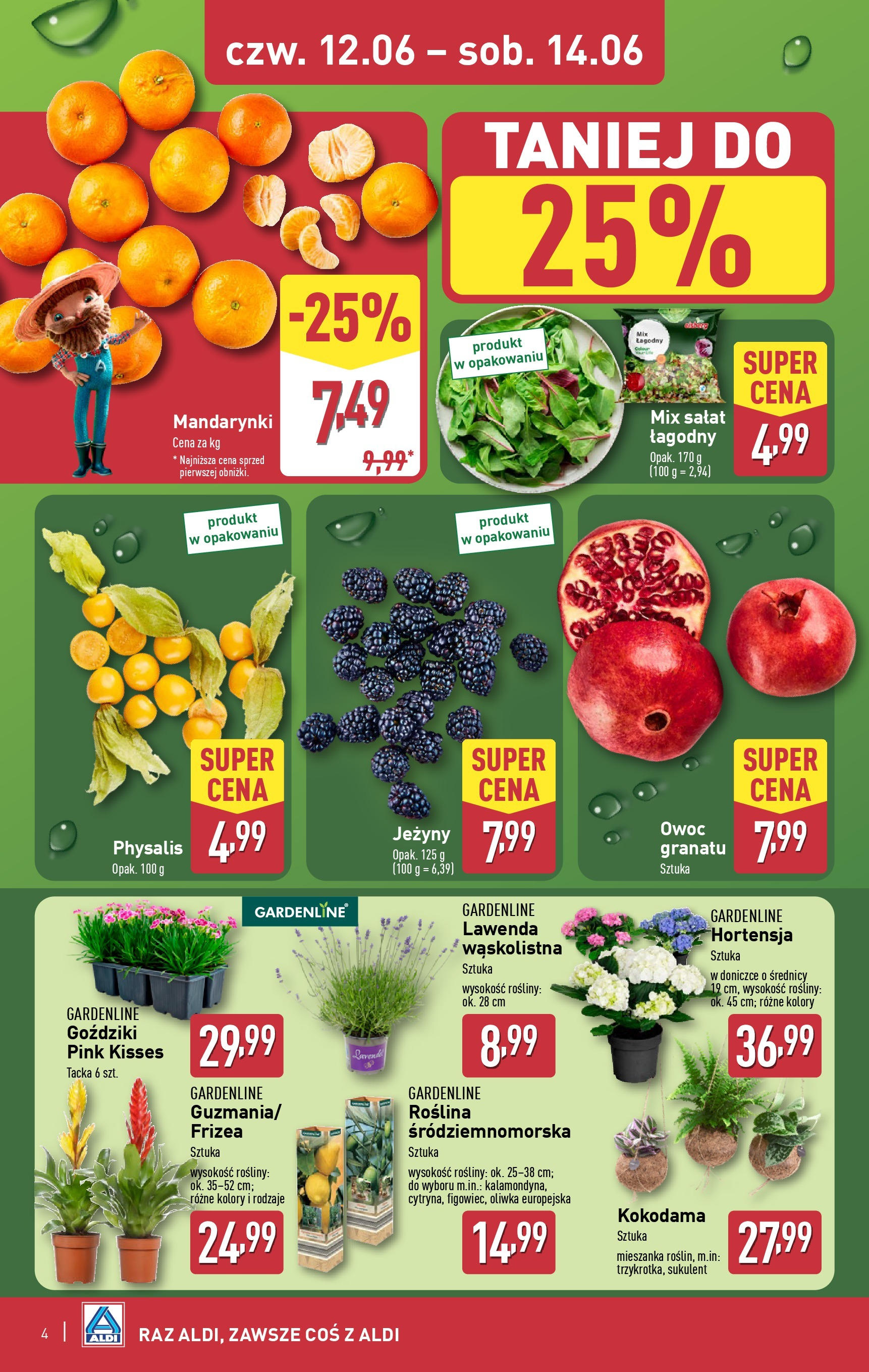 Aldi Gazetka - Okazje na weekend od 12.06.2025 - Ulotka PDF, promocje | Strona: 4 | Produkty: Goździki, Rosliny, Mix sałat, Mandarynki