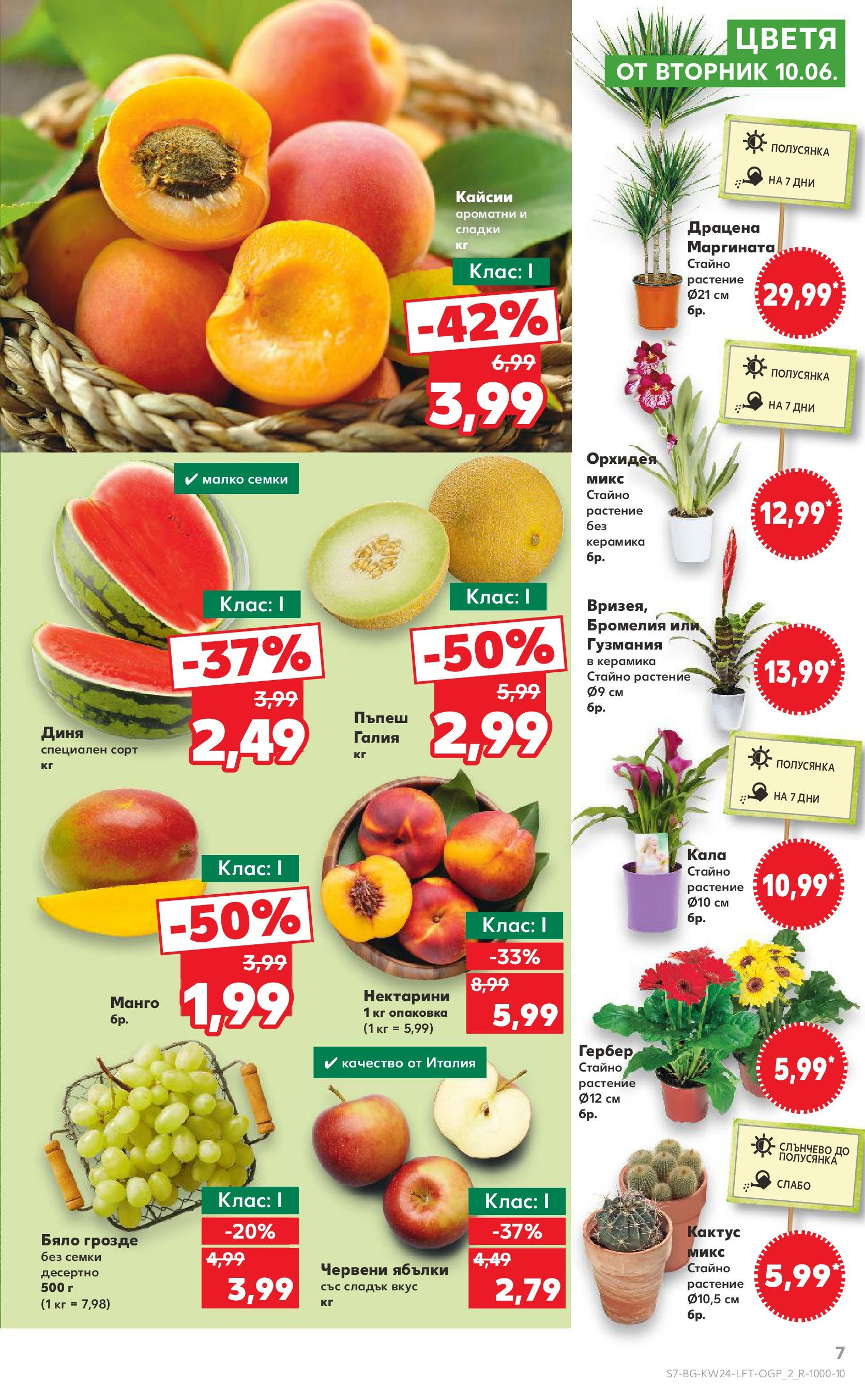 Нова Кауфланд брошура от 08.06.2025 - Кауфланд - XXL предложения в Kaufland с валидност до 15.06.2025 | Страница: 7 | Продукти: Грозде, Ябълки, Орхидея, Кайсии Нова Кауфланд брошура от 08.06.2025 - Кауфланд - XXL предложения в Kaufland с валидност до 15.06.2025 | Страница: 7 | Продукти: Грозде, Ябълки, Орхидея, Кайсии