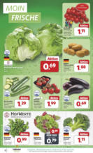 Combi - Angebote 16.06.-21.06.2025