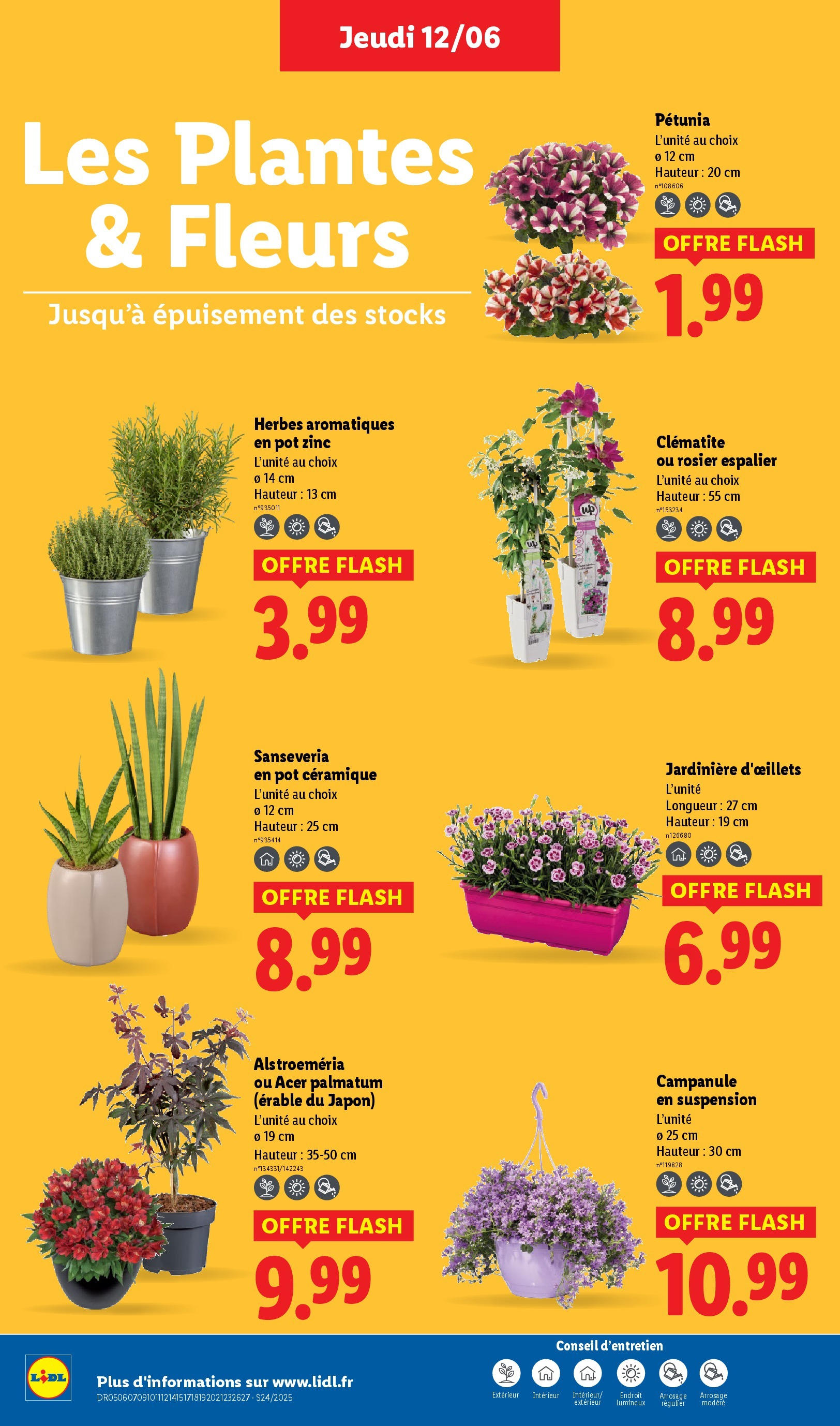 Catalogue LIDL du 12/06/2025 | Promo prospectus en ligne | Page: 28 | Produits: Rosier, Plantes, Jardinière, Érable du japon Catalogue LIDL du 12/06/2025 | Promo prospectus en ligne | Page: 28 | Produits: Rosier, Plantes, Jardinière, Érable du japon