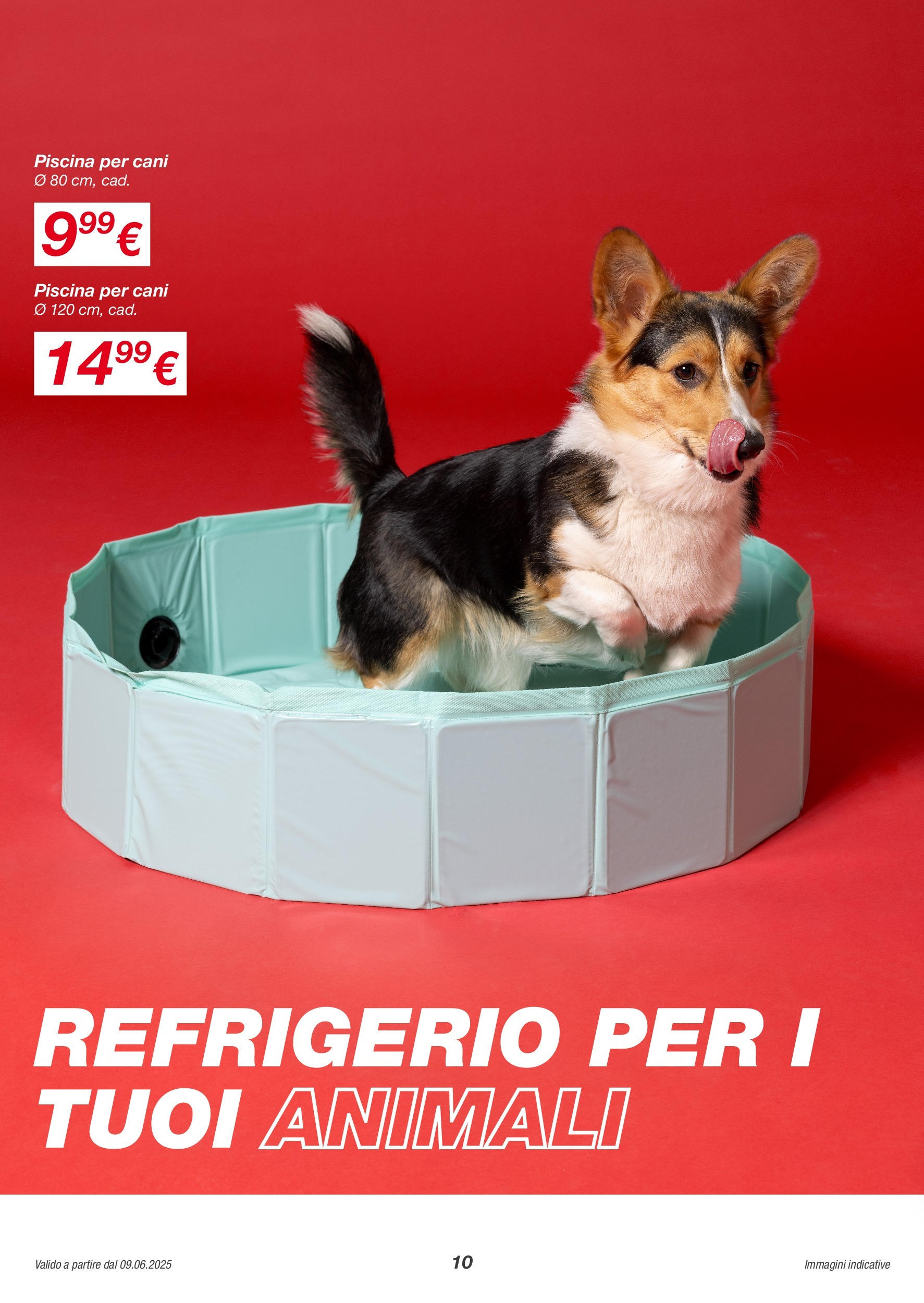 Nuovo Volantino KiK	 dal 08/06/2025 > offerte anteprima 🛍️ | Pagina: 10 | Prodotti: Piscina