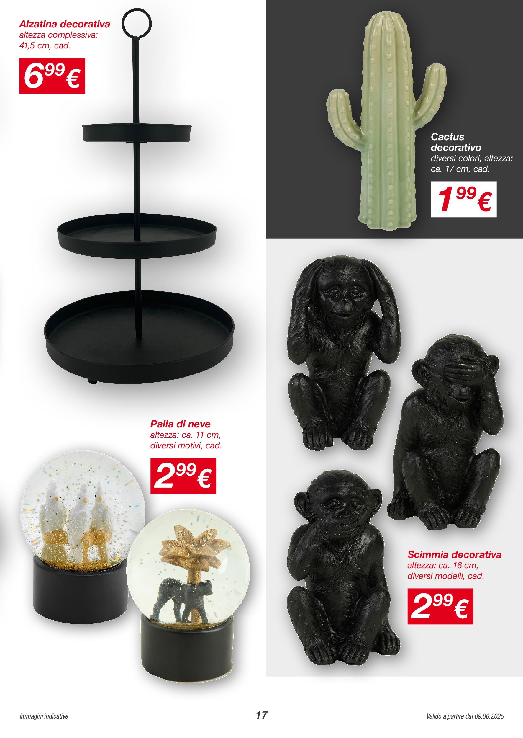 Nuovo Volantino KiK	 dal 08/06/2025 > offerte anteprima 🛍️ | Pagina: 17 | Prodotti: Cactus