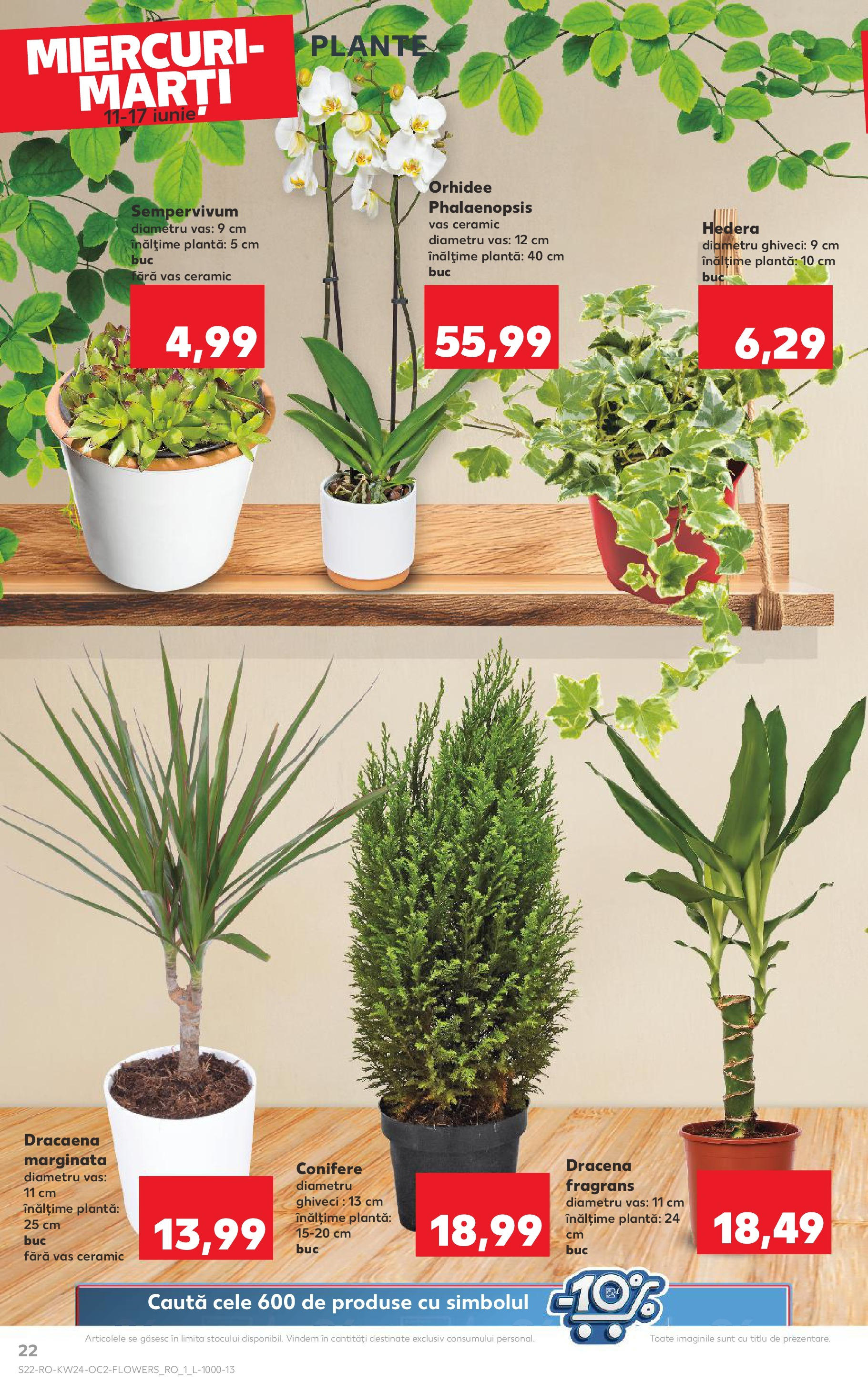 Catalog Kaufland - Satu Mare 11.06.2025 || Revista si Oferte | Pagină: 22 | Produse: Orhidee, Ghiveci Catalog Kaufland - Satu Mare 11.06.2025 - Revista si Oferta | Pagină: 22 | Produse: Orhidee, Ghiveci