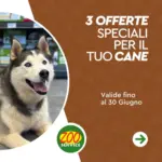 Zoo Service 3 offerte speciali - al 30.06.2025