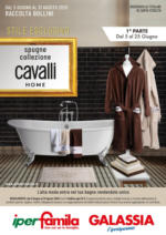 Galassia Grandi marche - al 25.06.2025