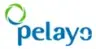 Pelayo Seguros