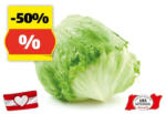 HOFER HOFER MARKTPLATZ Eisbergsalat aus Österreich