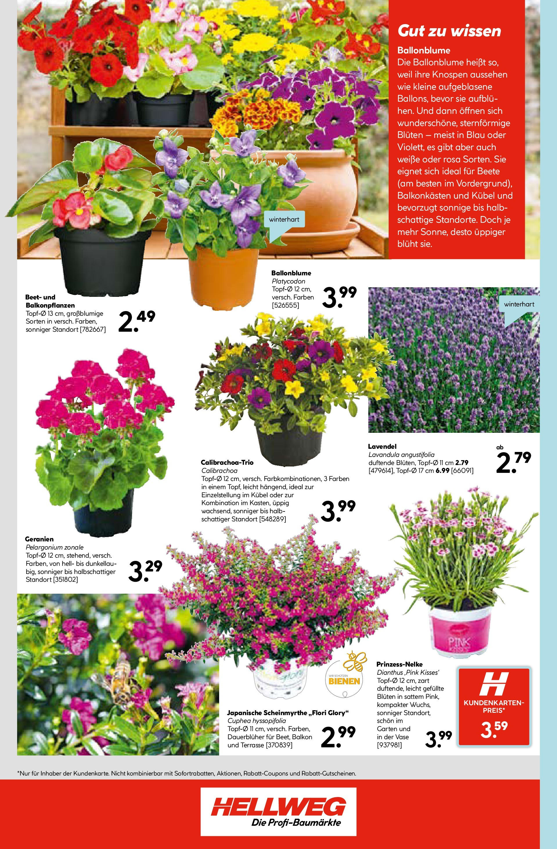 HELLWEG Graz von 18.06.2025 - Aktuelle Angebote | Seite: 22 | Produkte: Vase