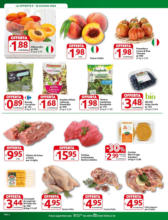 Offerte imperdibili