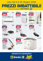 Bricofer Prezzi imbattibili - al 22.06.2025