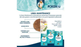 Offerte Del Mese
