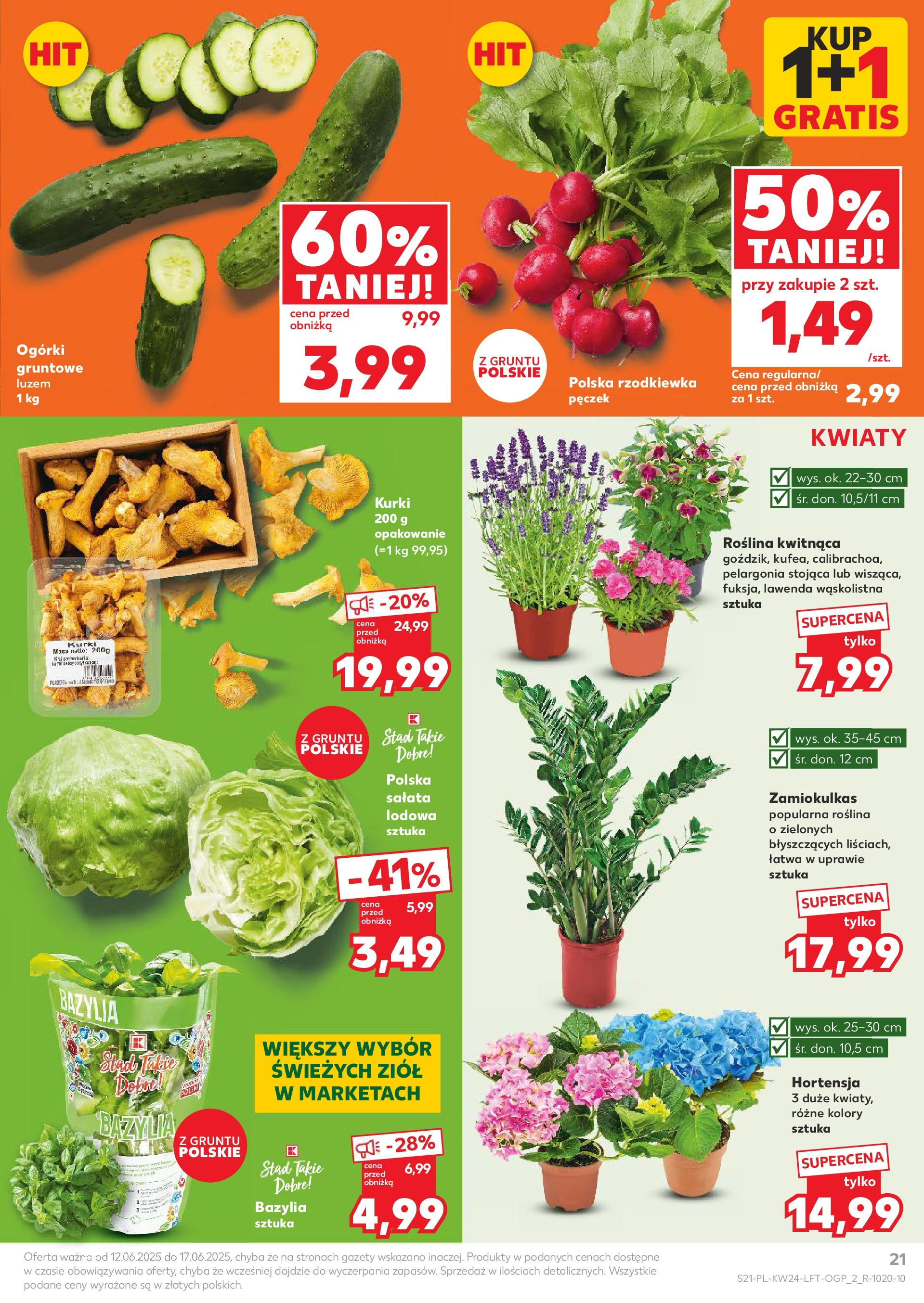 Kaufland gazetka od 12.06.2025 - od jutra PDF | Strona: 21 | Produkty: Bazylia, Ogórki, Kwiaty, Ogórki gruntowe