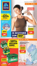 HOFER HOFER: Flugblatt - ab 13.06.2025