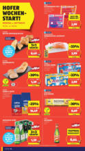 HOFER HOFER: Flugblatt - ab 13.06.2025