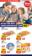 HOFER HOFER: Flugblatt - bis 19.06.2025