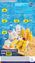 HOFER HOFER: Flugblatt - ab 13.06.2025
