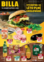 Billa Katalog: Léto
