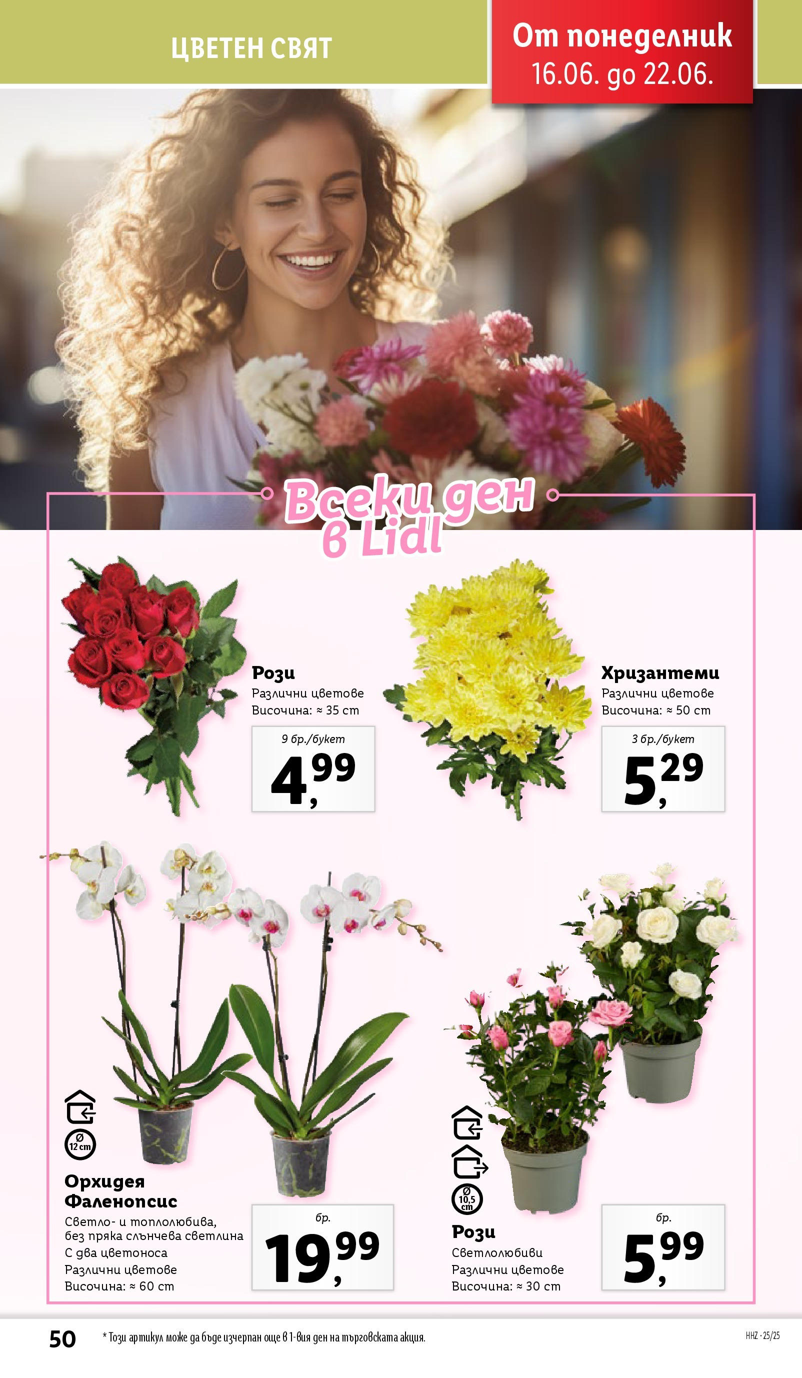 Лидл брошура от 15.06.2025 - LIDL broshura "Cедмична брошура на Лидл" | Страница: 50 | Продукти: Орхидея Лидл брошура от 15.06.2025 - LIDL broshura "Cедмична брошура на Лидл" | Страница: 50 | Продукти: Орхидея