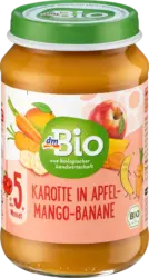 dmBio Früchte Karotte, Apfel, Mango, Banane ab dem 5. Monat