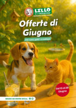 Offerte di giugno