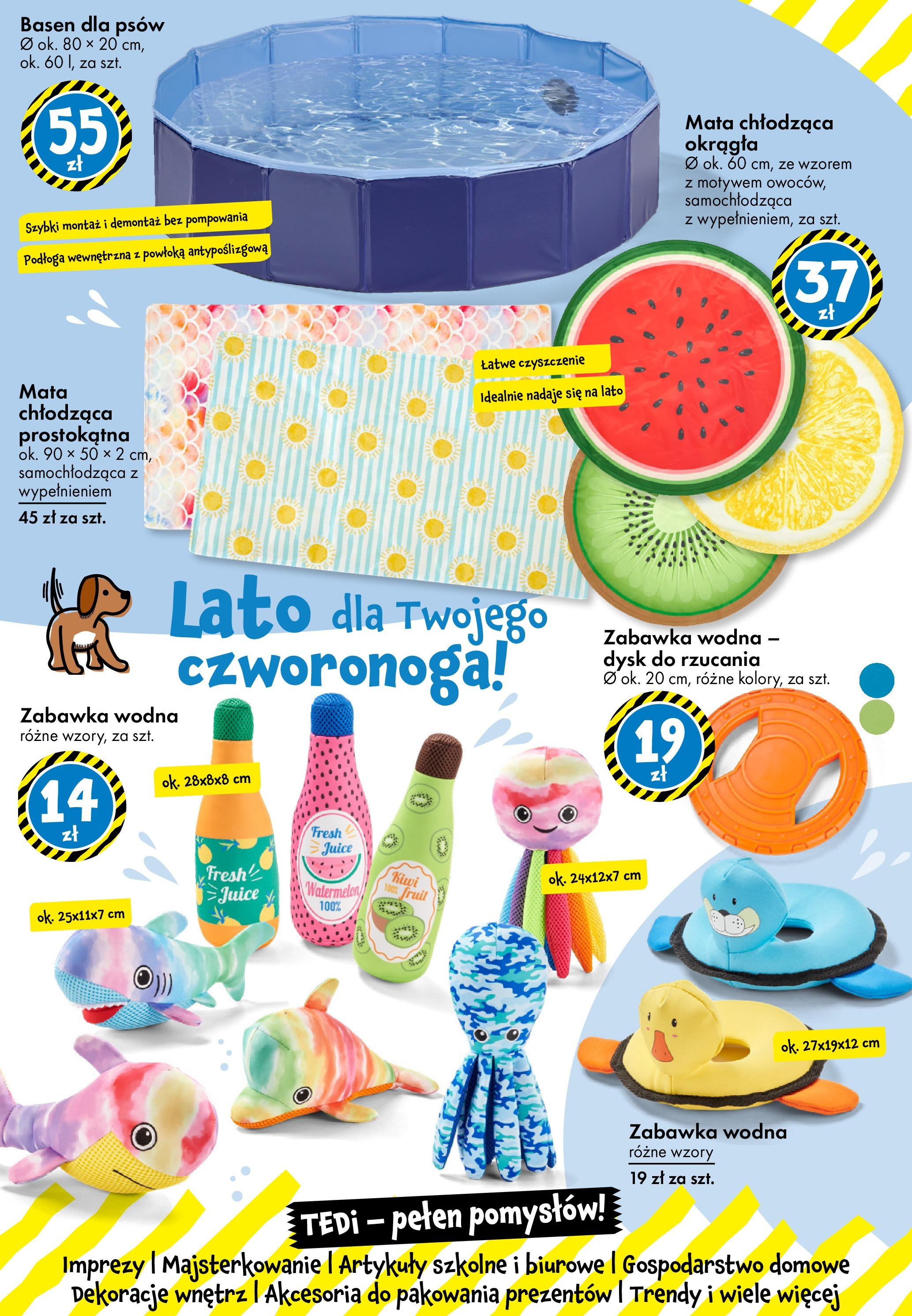 TEDi Gazetka od (13.06.2025 - 21.06.2025) | Strona: 24 | Produkty: Dysk, Basen, Kiwi, Artykuły szkolne