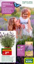 Pflanzen-Kölle Gartencenter Pflanzen-Kölle: Nachlassaktion - bis 22.06.2025