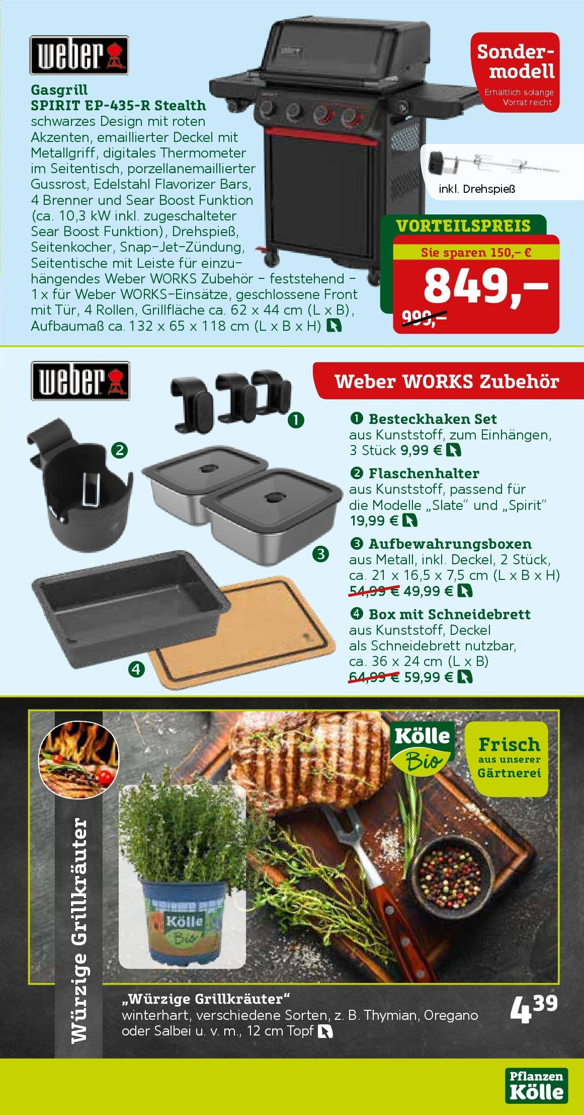 Pflanzen-Kölle Prospekt 	 (ab 16.06.2025) zum Blättern | Seite: 9 | Produkte: Thermometer, Box