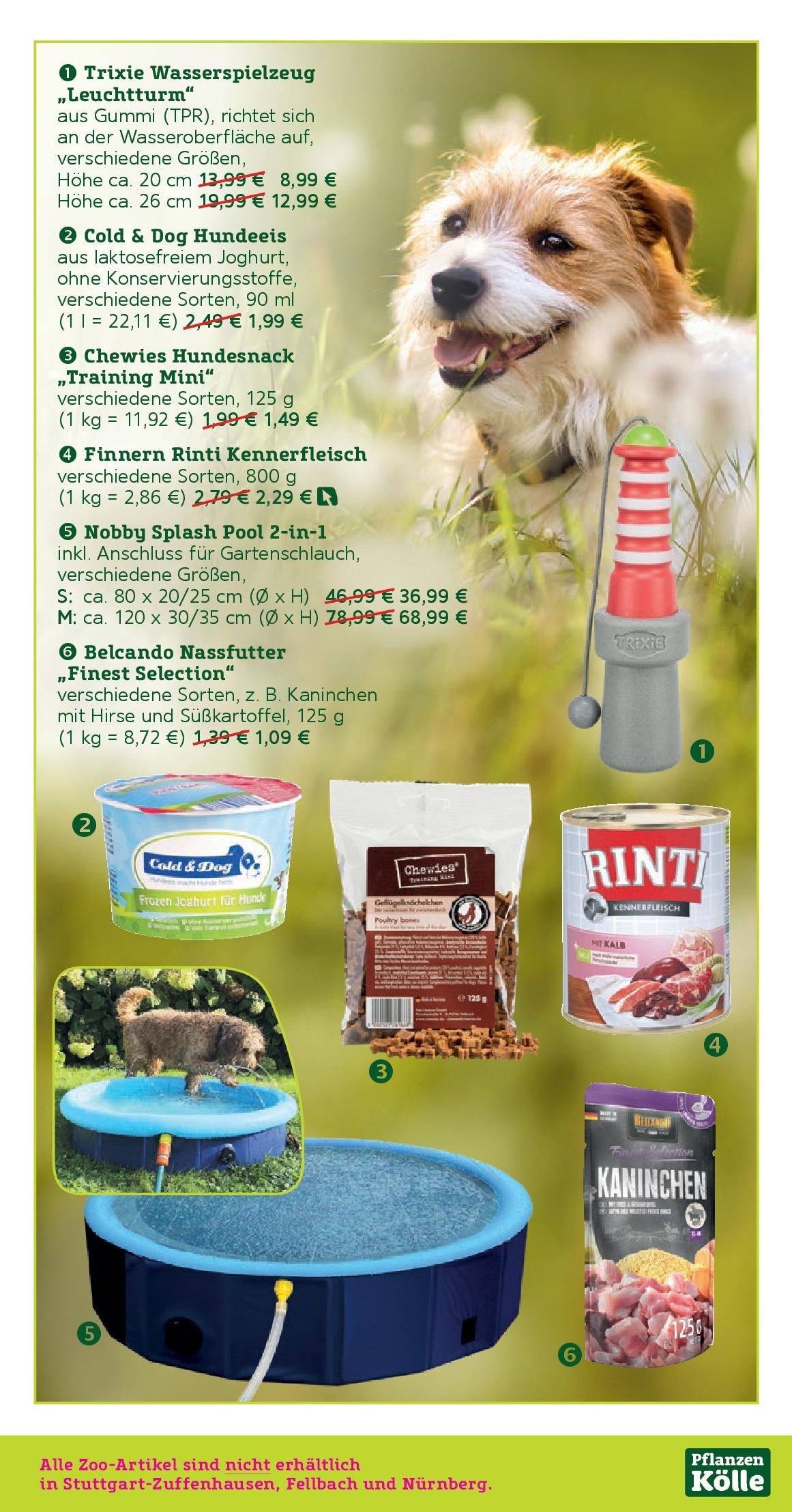 Pflanzen-Kölle Prospekt 	 (ab 16.06.2025) zum Blättern | Seite: 11 | Produkte: Joghurt, Kaninchen