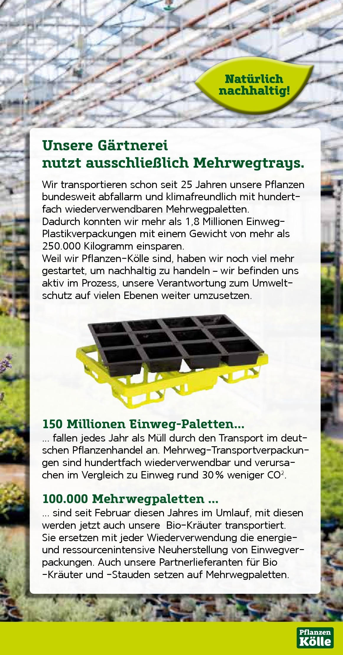 Pflanzen-Kölle Prospekt 	 (ab 16.06.2025) zum Blättern | Seite: 15