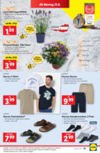 Lidl Österreich Lidl: Flugblatt in deiner Nähe - ab 18.06.2025