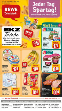 Rewe prospekt Herten	 gültig ab dem 15.06.2025