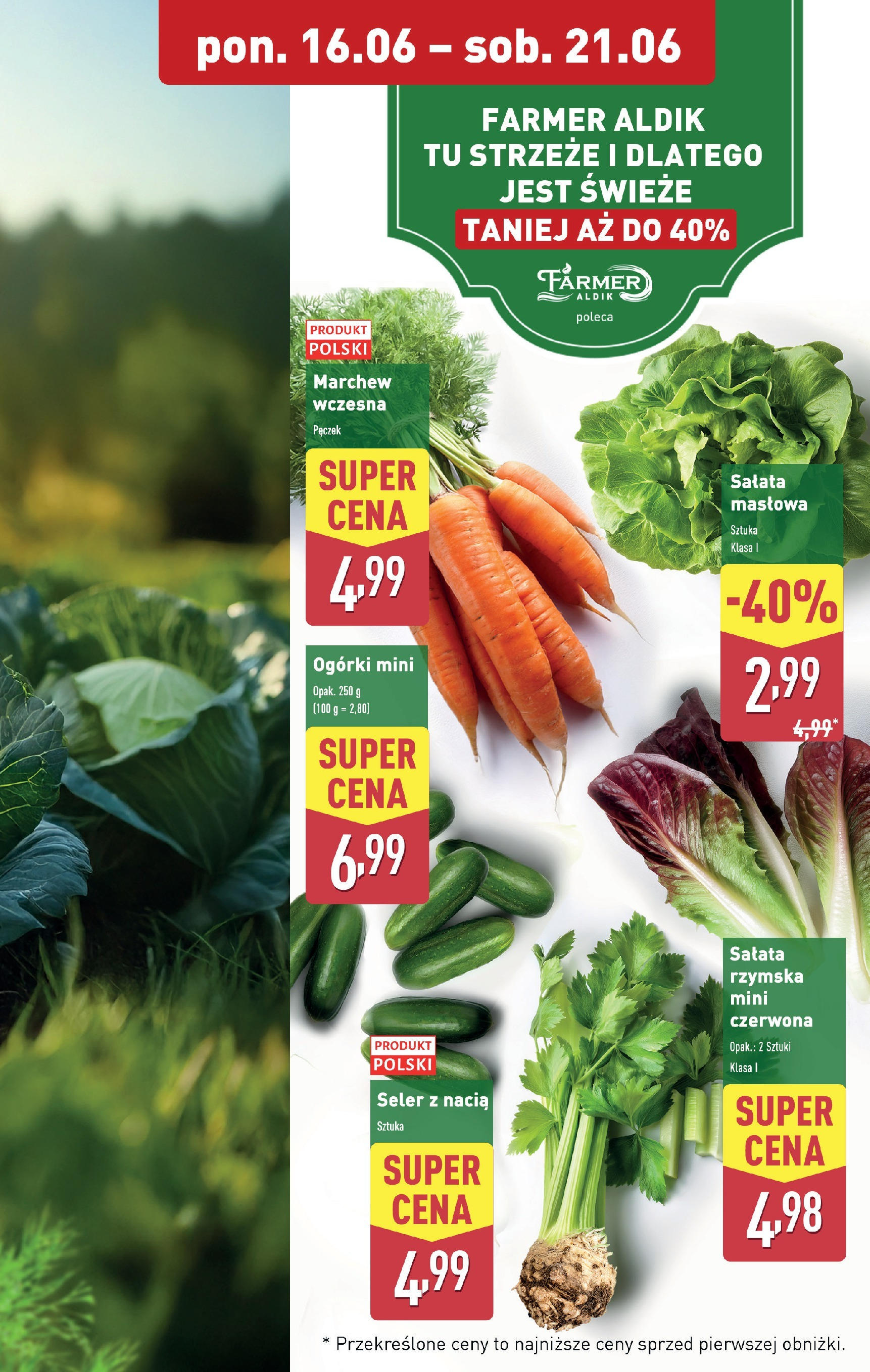 Aldi Gazetka od 16.06.2025 - Ulotka PDF, promocje | Strona: 5 | Produkty: Ogórki