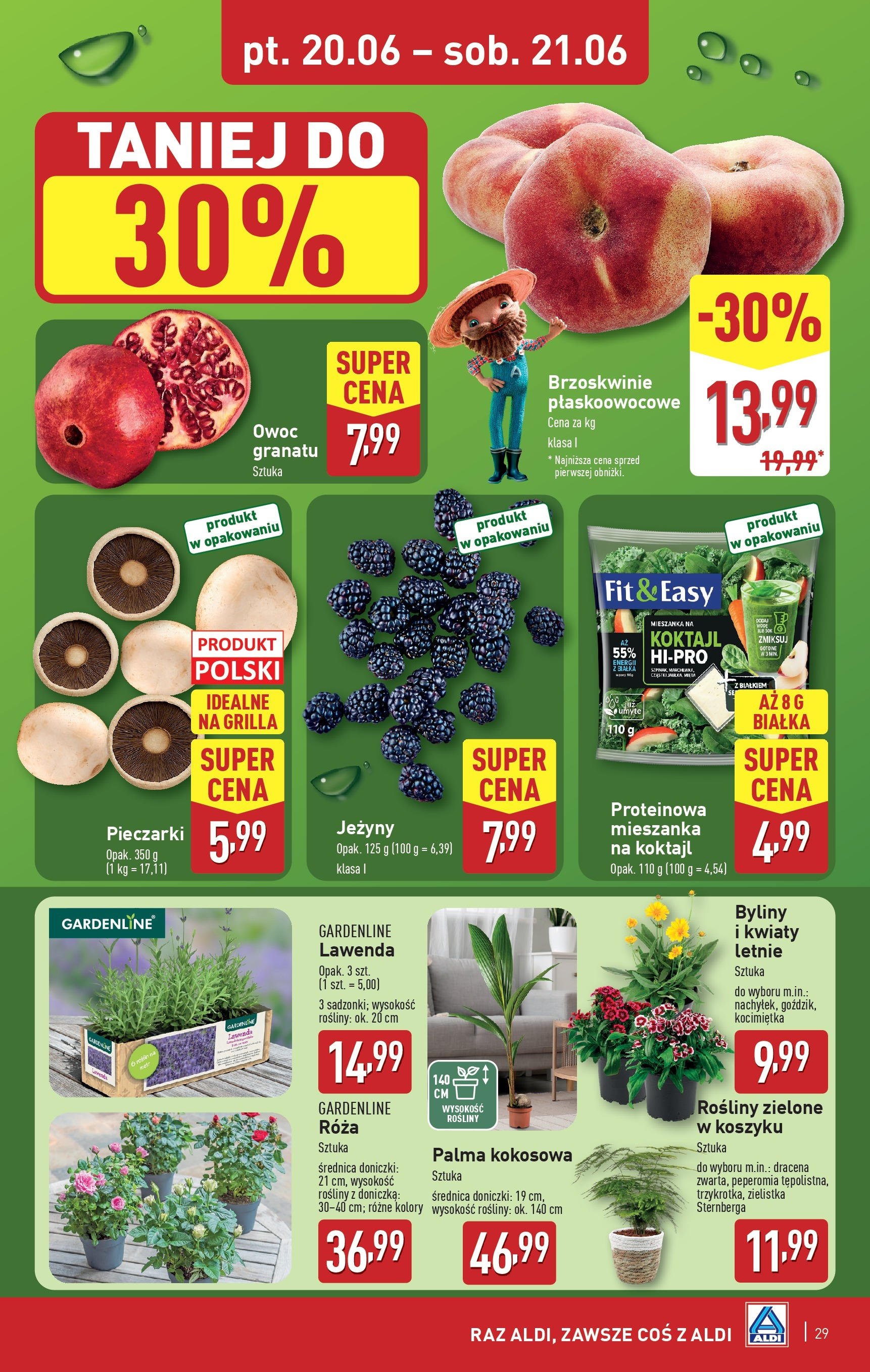 Aldi Gazetka od 16.06.2025 - Ulotka PDF, promocje | Strona: 29 | Produkty: Rosliny, Doniczki, Brzoskwinie, Kwiaty