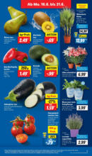 Lidl Lidl: Wochenangebote - ab 16.06.2025