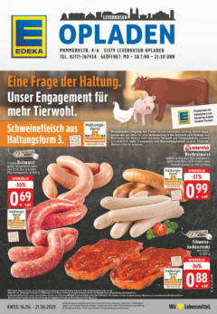 Vorschau von dem Prospekt des Geschäftes Edeka, gültig ab dem 15.06.2025