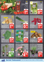 EDEKA: Wochenangebote