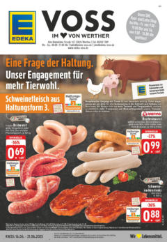 Edeka prospekt Werther	 gültig ab dem 15.06.2025