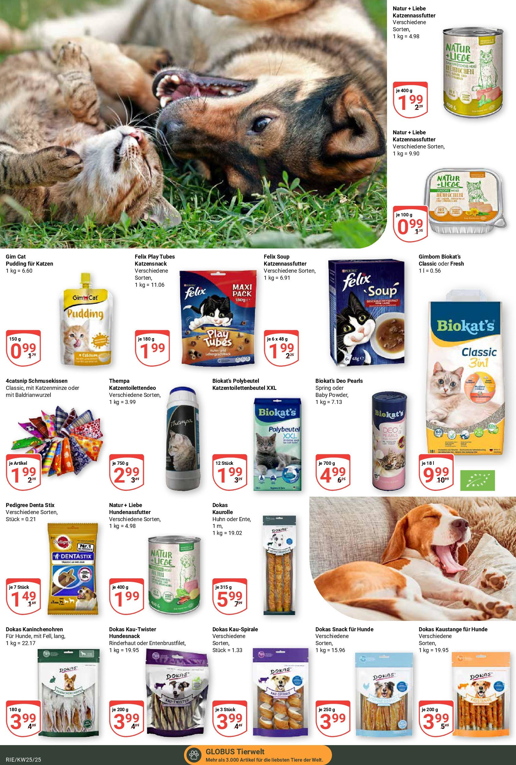 Globus prospekt Bochum-Riemke	 (ab 15.06.2025) » Angebote online | Seite: 16 | Produkte: Pudding, Pedigree