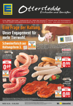 Vorschau von dem Prospekt des Geschäftes Edeka, gültig ab dem 15.06.2025