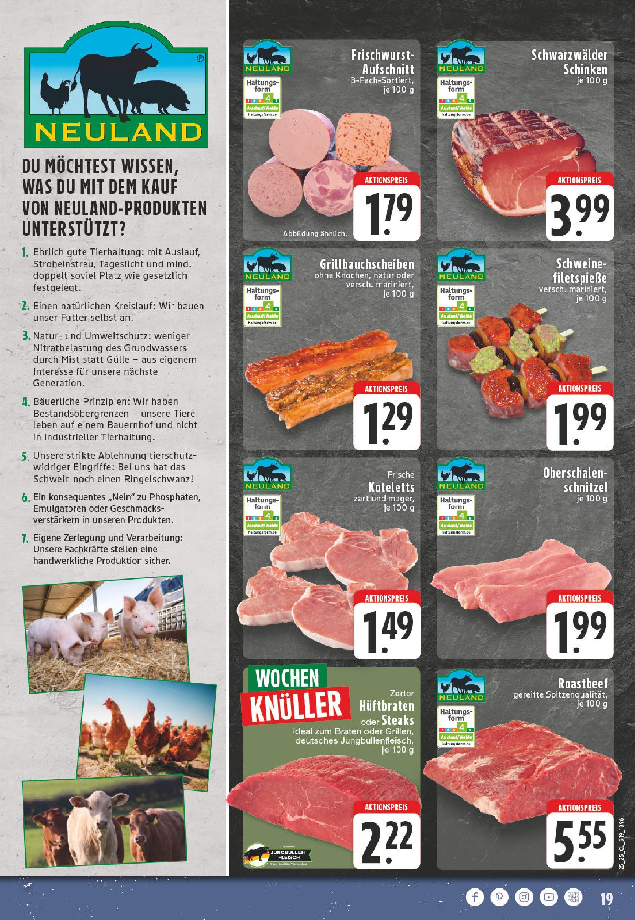 Edeka prospekt Lünen	 (ab 15.06.2025) » Angebote Online | Seite: 19 | Produkte: Schnitzel, Roastbeef, Schinken, Fleisch