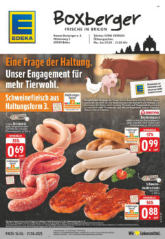 Vorschau von dem Prospekt des Geschäftes Edeka, gültig ab dem 15.06.2025
