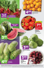 Nasze najlepsze oferty dla Ciebie Stokrotka – do 16.06.2025