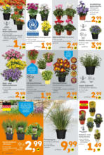 Globus Baumarkt: Wochenangebote