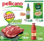 Pellicano Sotto csoto freschi - al 25.06.2025