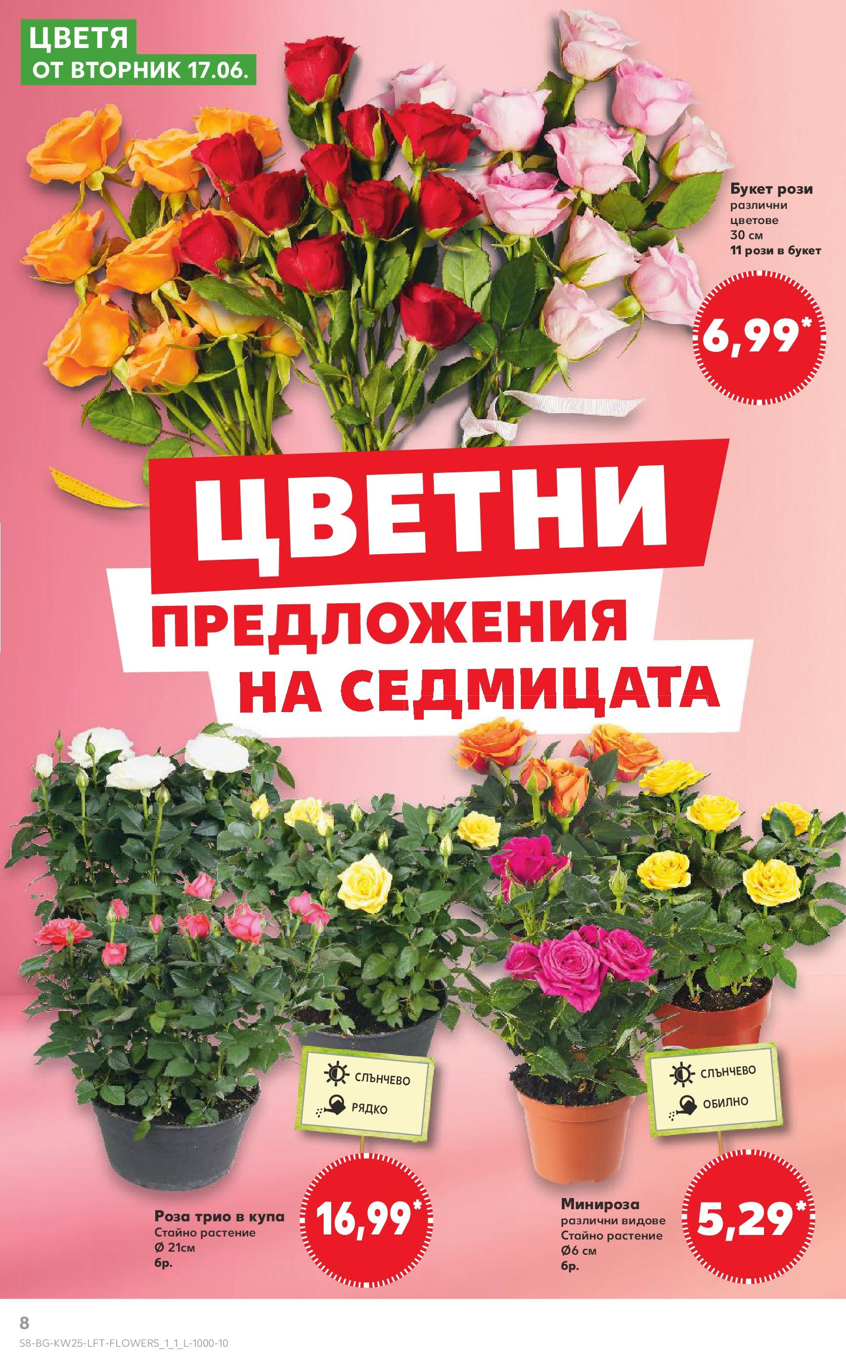 Нова Кауфланд брошура от 15.06.2025 - Кауфланд - Режем цените в Kaufland с оферти до 22.06.2025 | Страница: 8 | Продукти: Купа, Роза Нова Кауфланд брошура от 15.06.2025 - Кауфланд - Режем цените в Kaufland с оферти до 22.06.2025 | Страница: 8 | Продукти: Купа, Роза