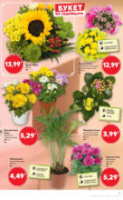 Kaufland хипермаркет Режем цените в Kaufland с оферти до 22.06.2025 - до 22-06-25