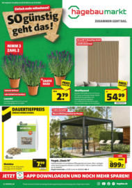 Hagebaumarkt Brake - So günstig geht das!