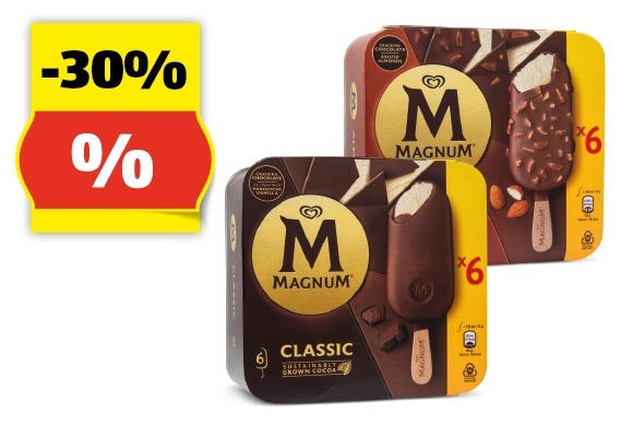 MAGNUM Stieleis 6er