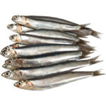 Mix Markt Sardine (Sardina pilchardus), frisch - bis 21.06.2025